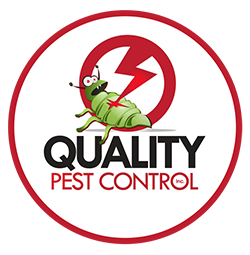 Pest Control Chelmsford